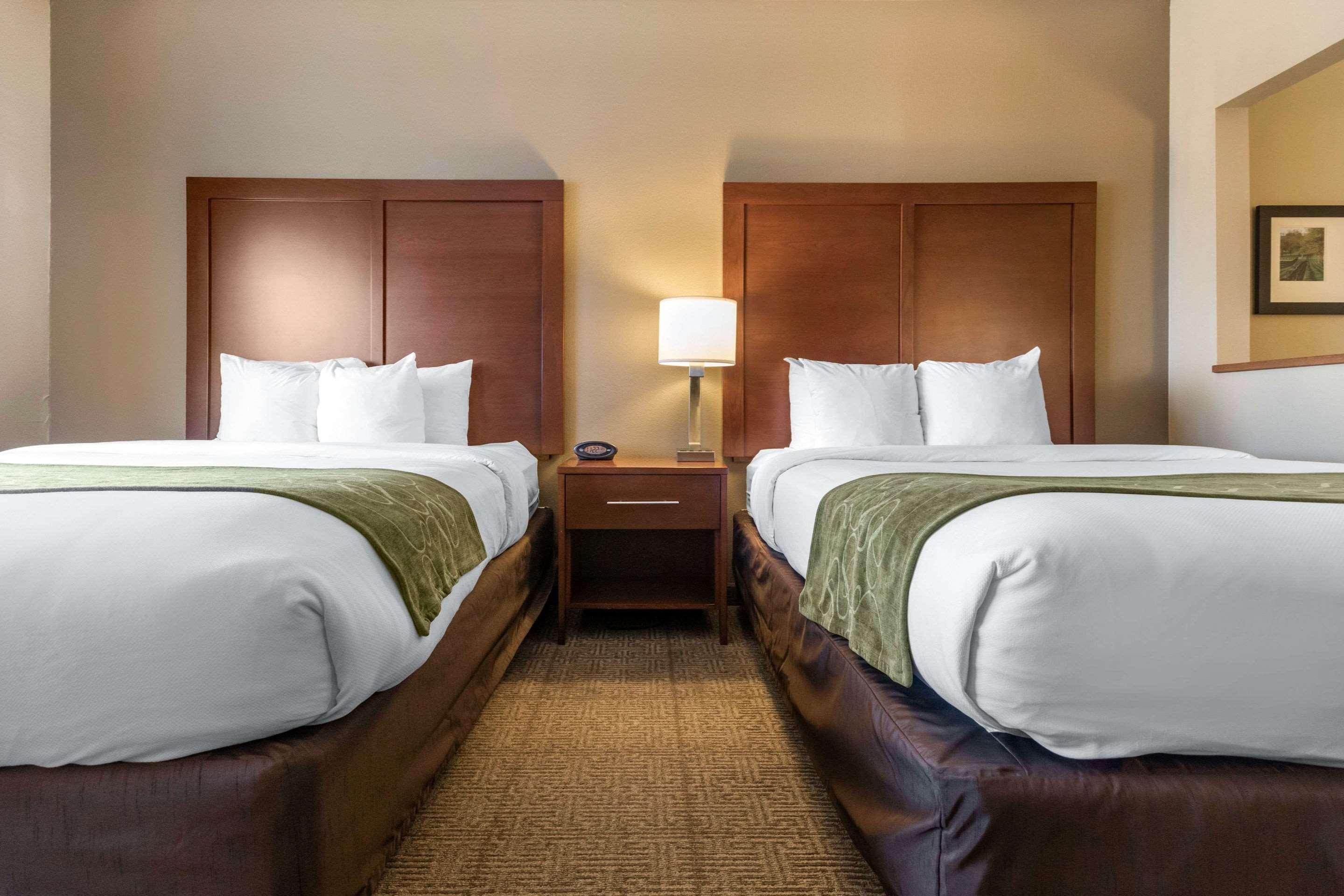 Comfort Suites Keeneland Lexington Bagian luar foto